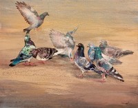 Jamal, 24 X 30, Oil on Canvas, Pigeon Painting, AC-JML-004 Jamal, 24 X 30, Oil on Canvas, Pigeon Painting, AC-JML-004
